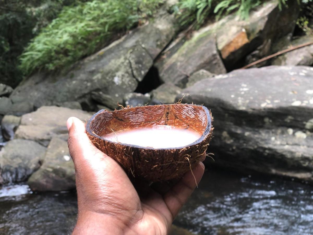 Palabaddala Tea And Eco Lodge Ratnapura Extérieur photo