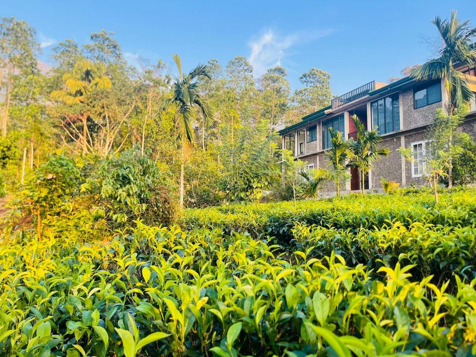 Palabaddala Tea And Eco Lodge Ratnapura Extérieur photo